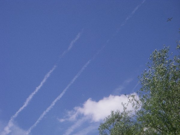 happingerausee2011_018